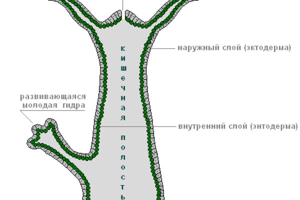 Кракен вход ссылка kraken torion net
