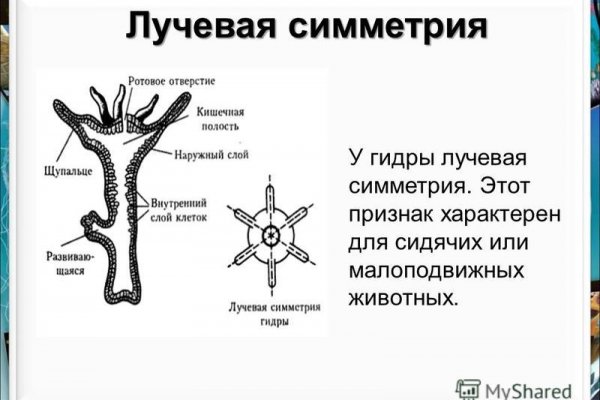 Наркосайт кракен