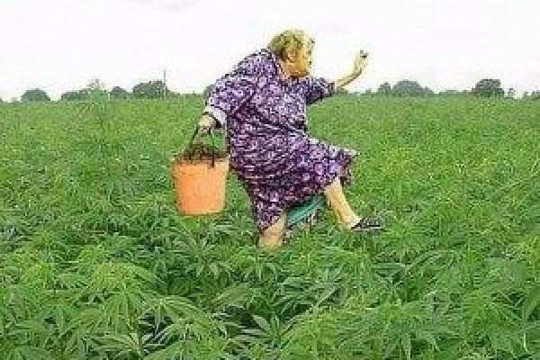 Кракен маркетплейс официальный сайт