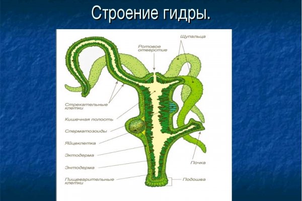 Kraken магазин