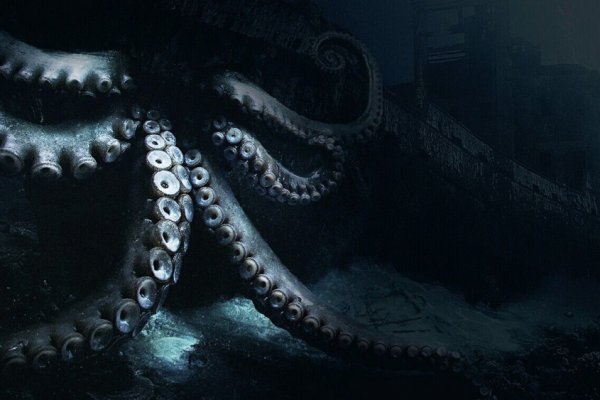 Как вывести деньги с kraken