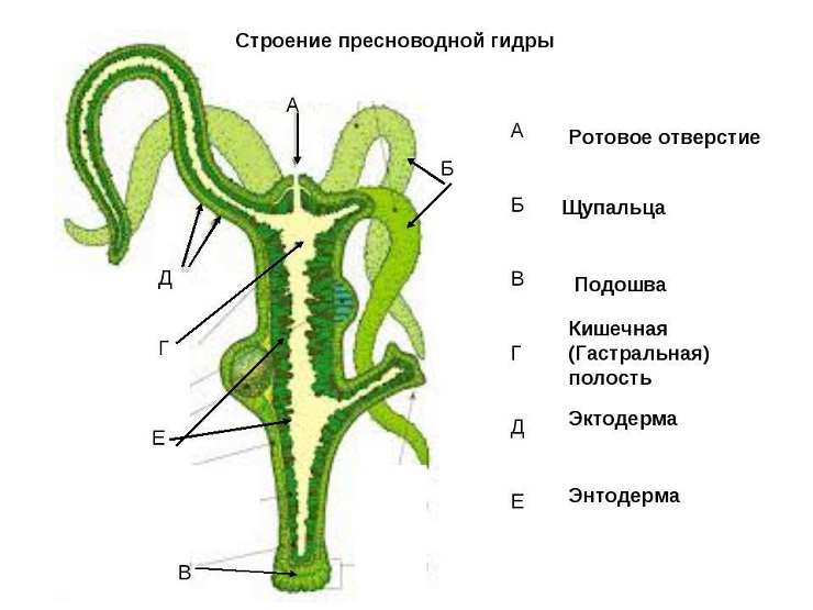 Kraken market ссылка